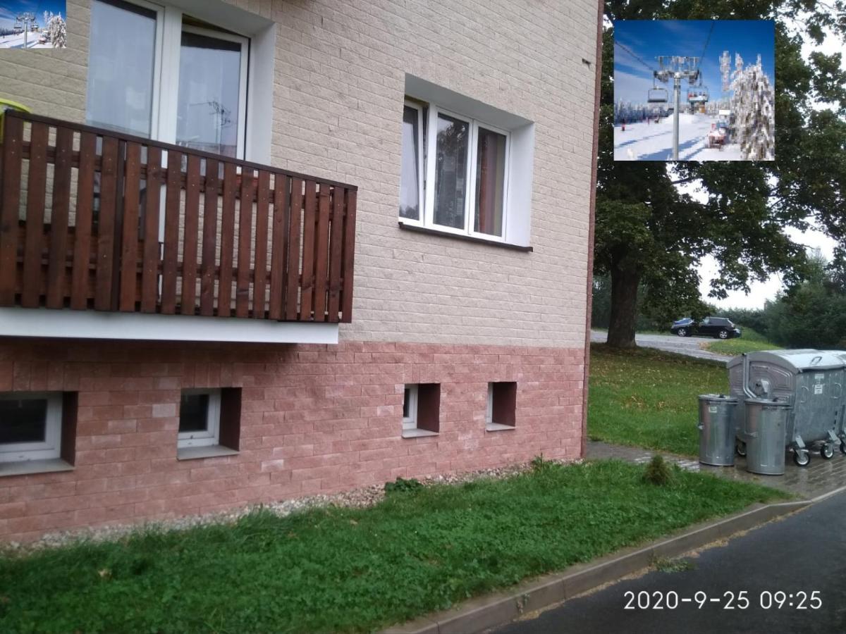 Plne Vybaveny 2+1Byt S Balkonem A Koji Pro Kola A Lyze. Rokytnice v Orlických Horách Εξωτερικό φωτογραφία