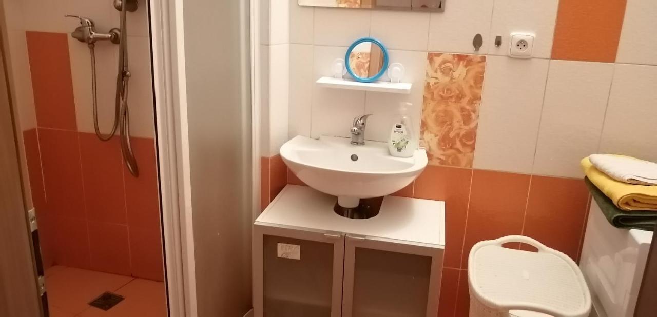 Plne Vybaveny 2+1Byt S Balkonem A Koji Pro Kola A Lyze. Rokytnice v Orlických Horách Εξωτερικό φωτογραφία